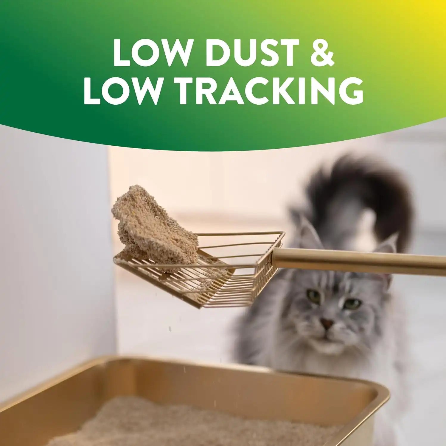 armandhammeroutlet.com