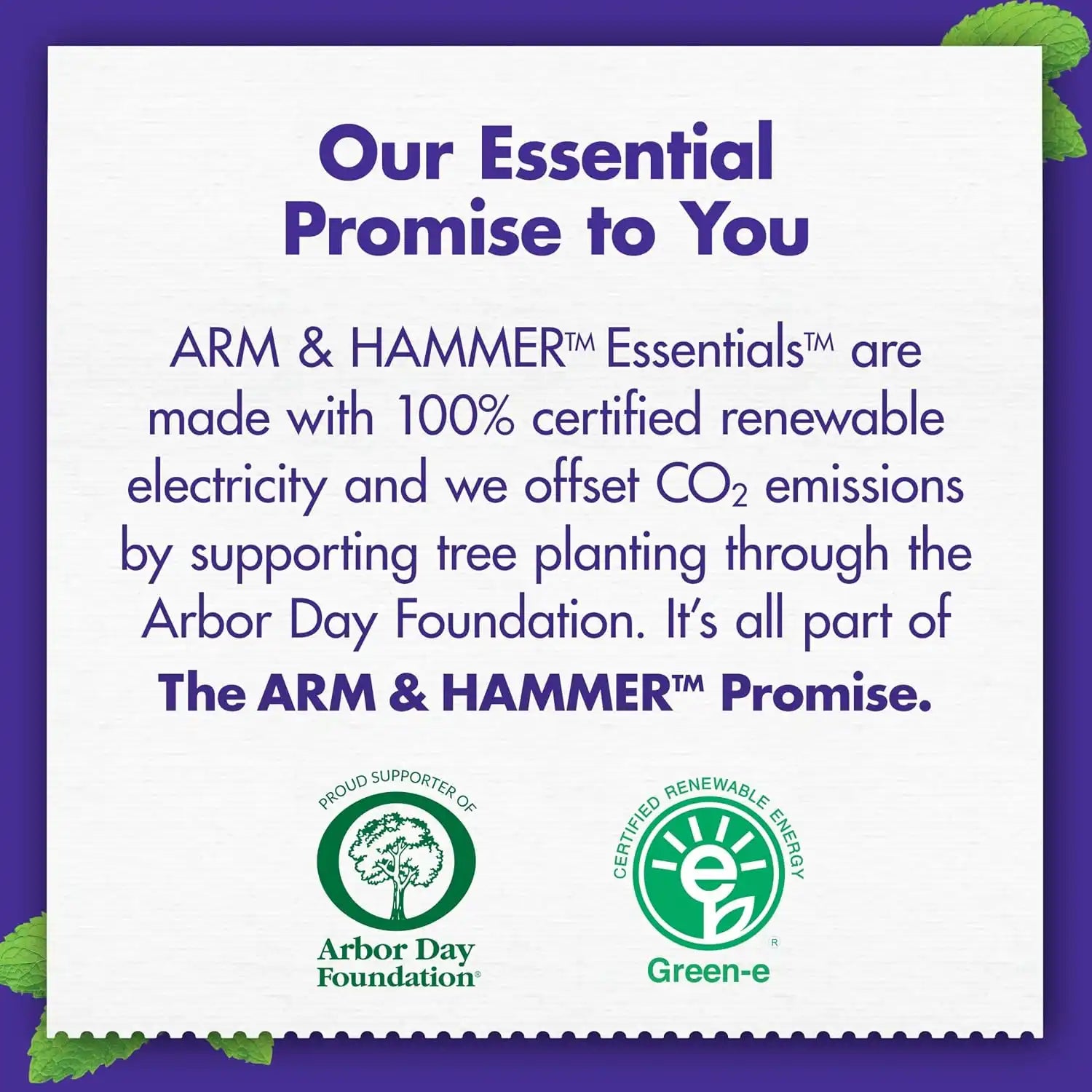 armandhammeroutlet.com