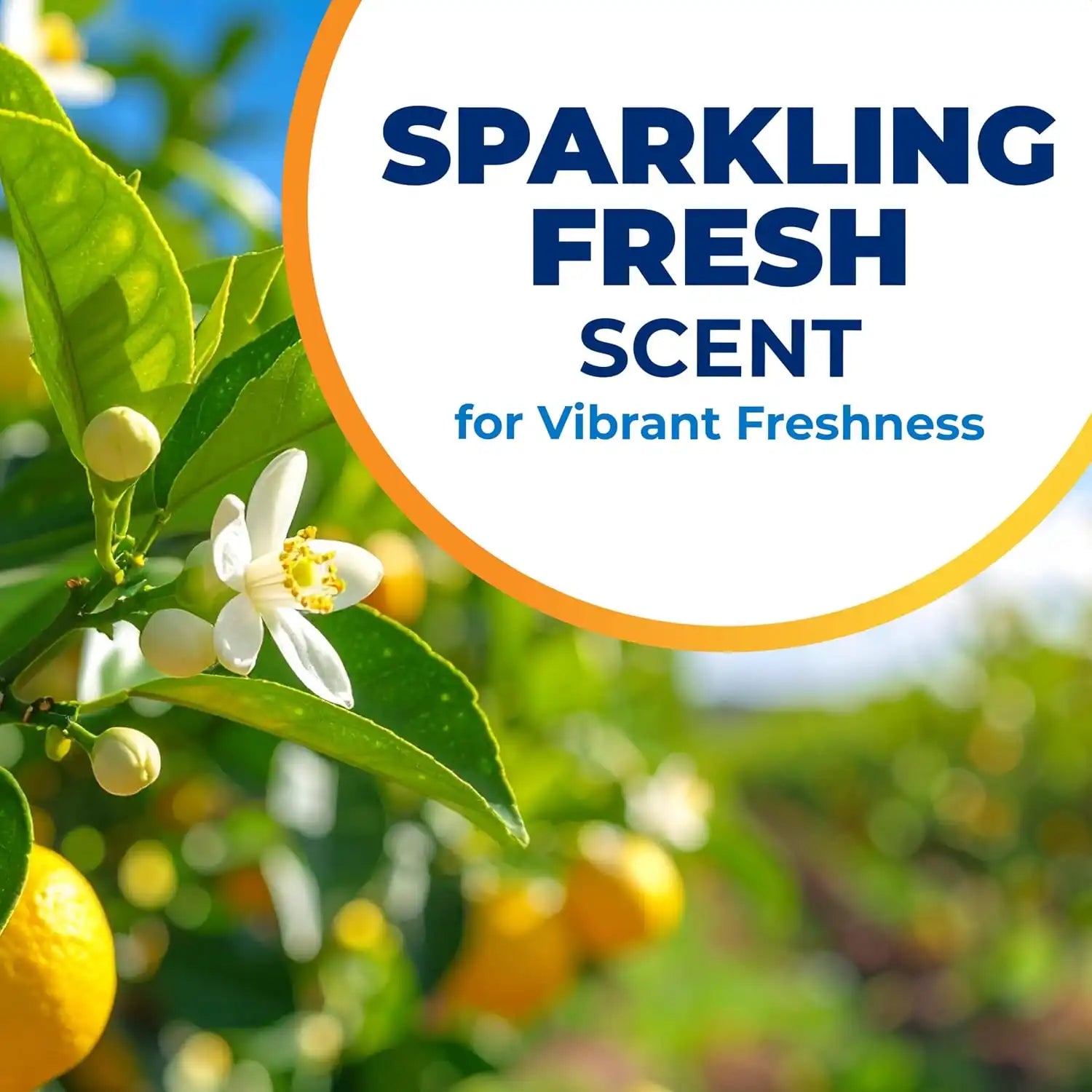 armandhammeroutlet.com